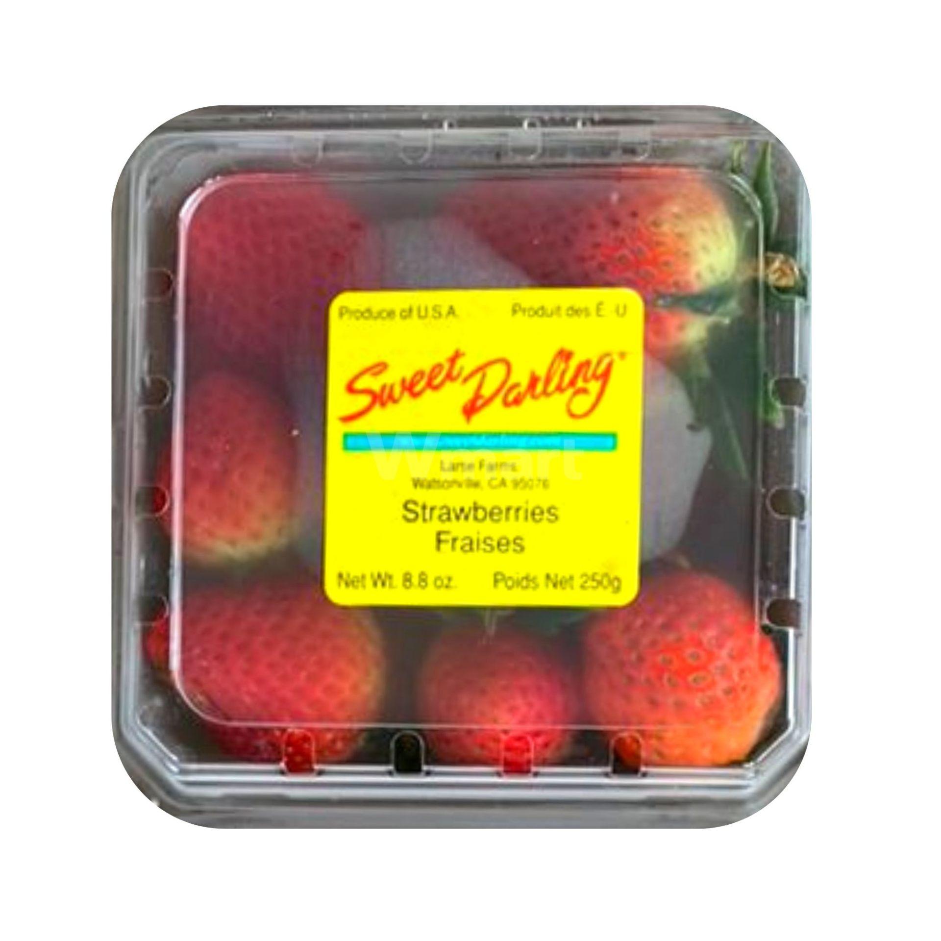 USA Sweet Darling Strawberries (Pack)