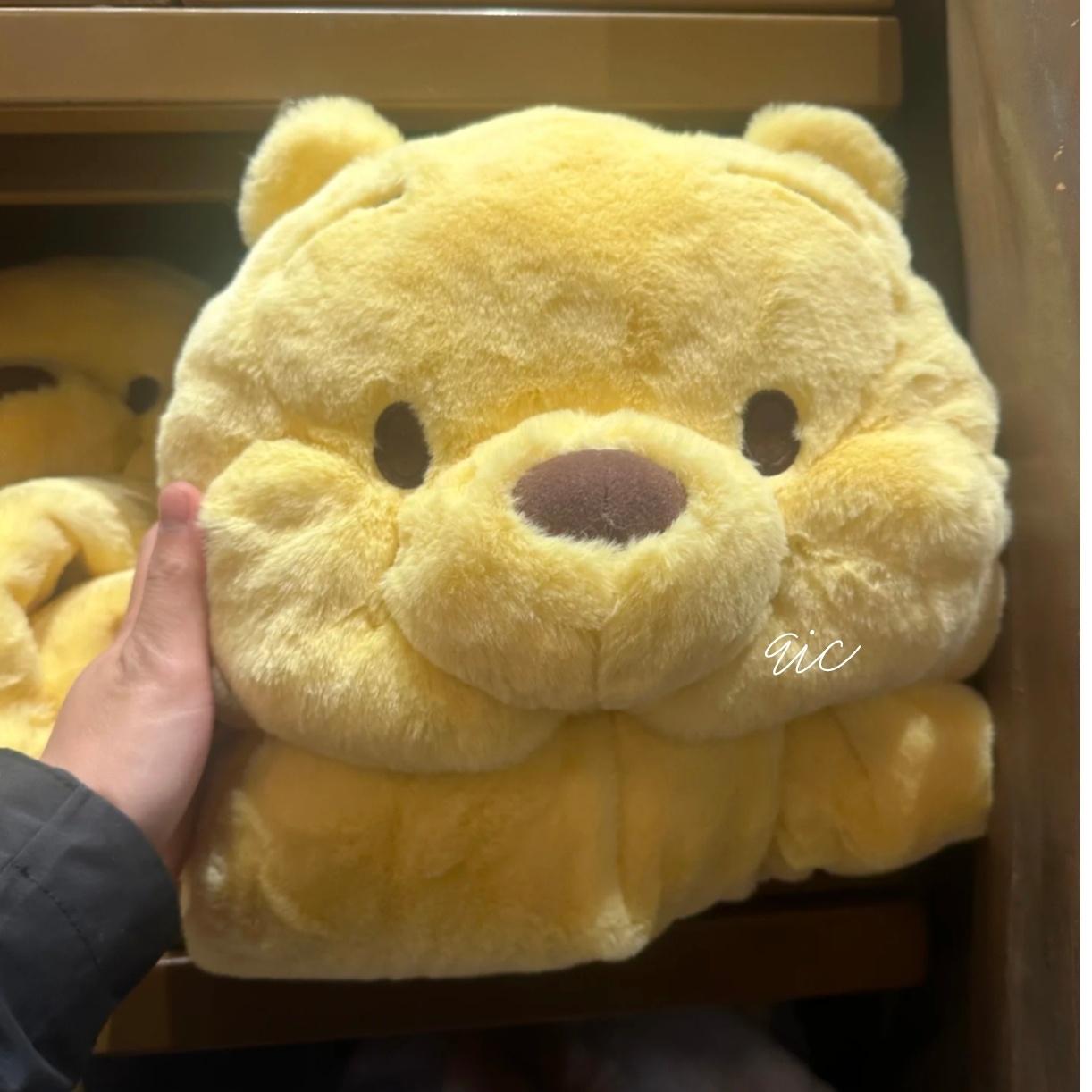 Pooh 维尼噗噗2024新款立体大头连帽毛毯 Blanket