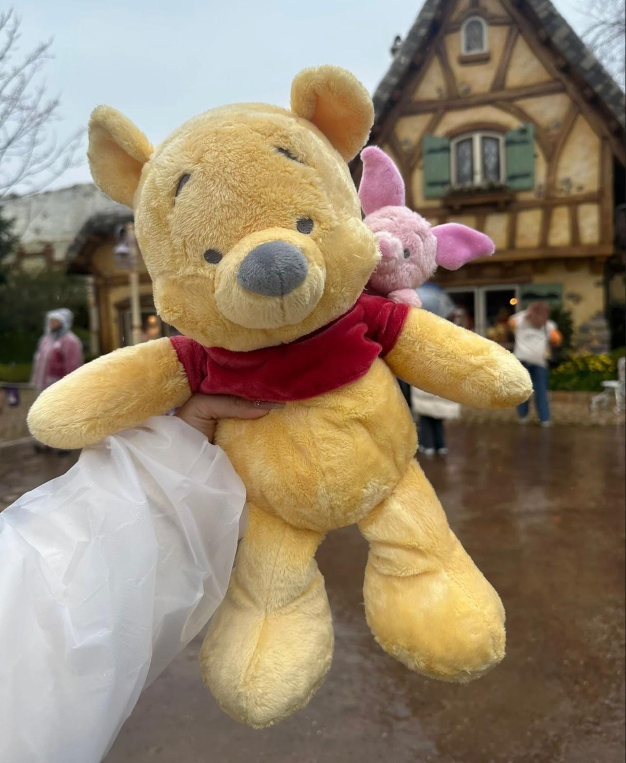 Pooh Piglet 维尼噗噗小猪皮杰背背系列公仔