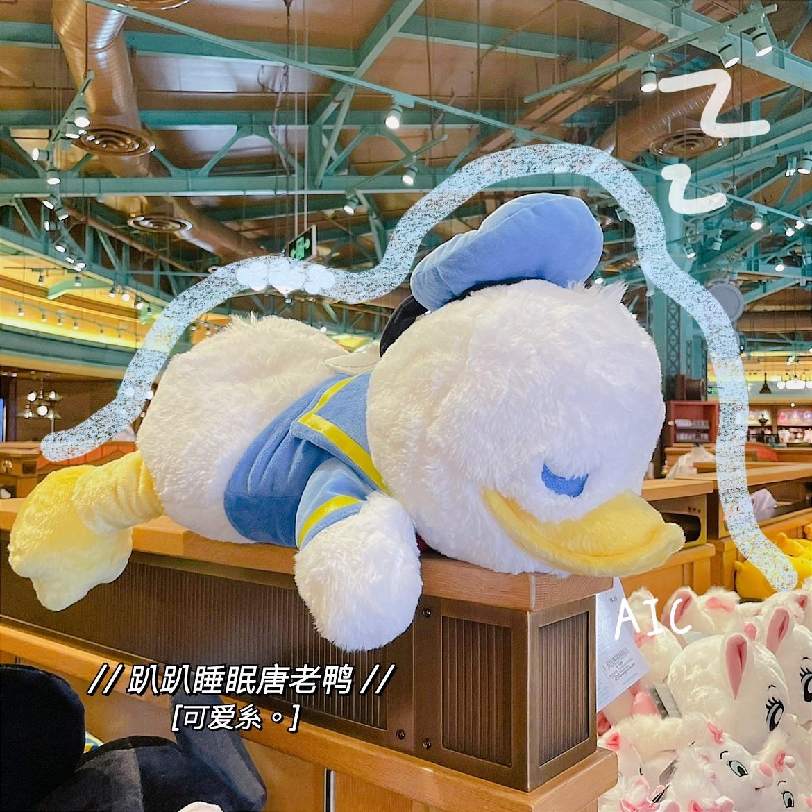 Donald 趴趴睡眠唐老鸭