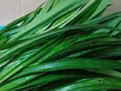 香叶 PANDAN