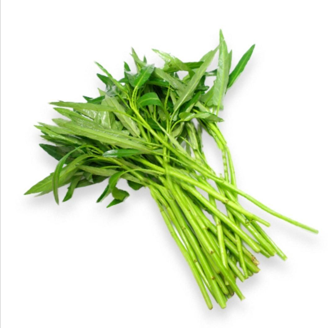 空心菜 kangkong