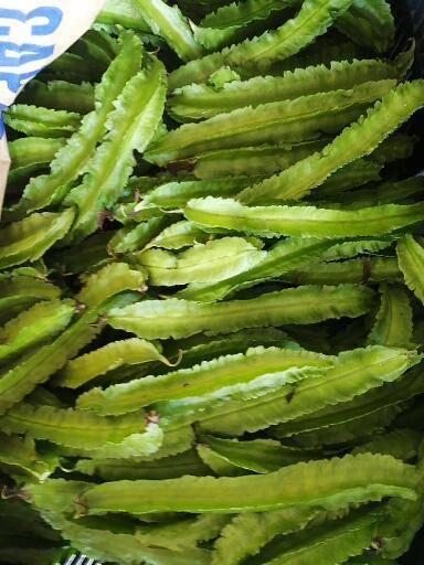 四方豆 Square beans