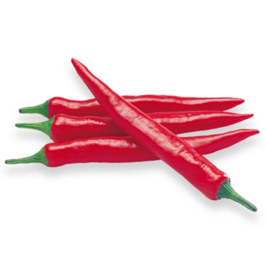 紅辣椒 RED CHILLY