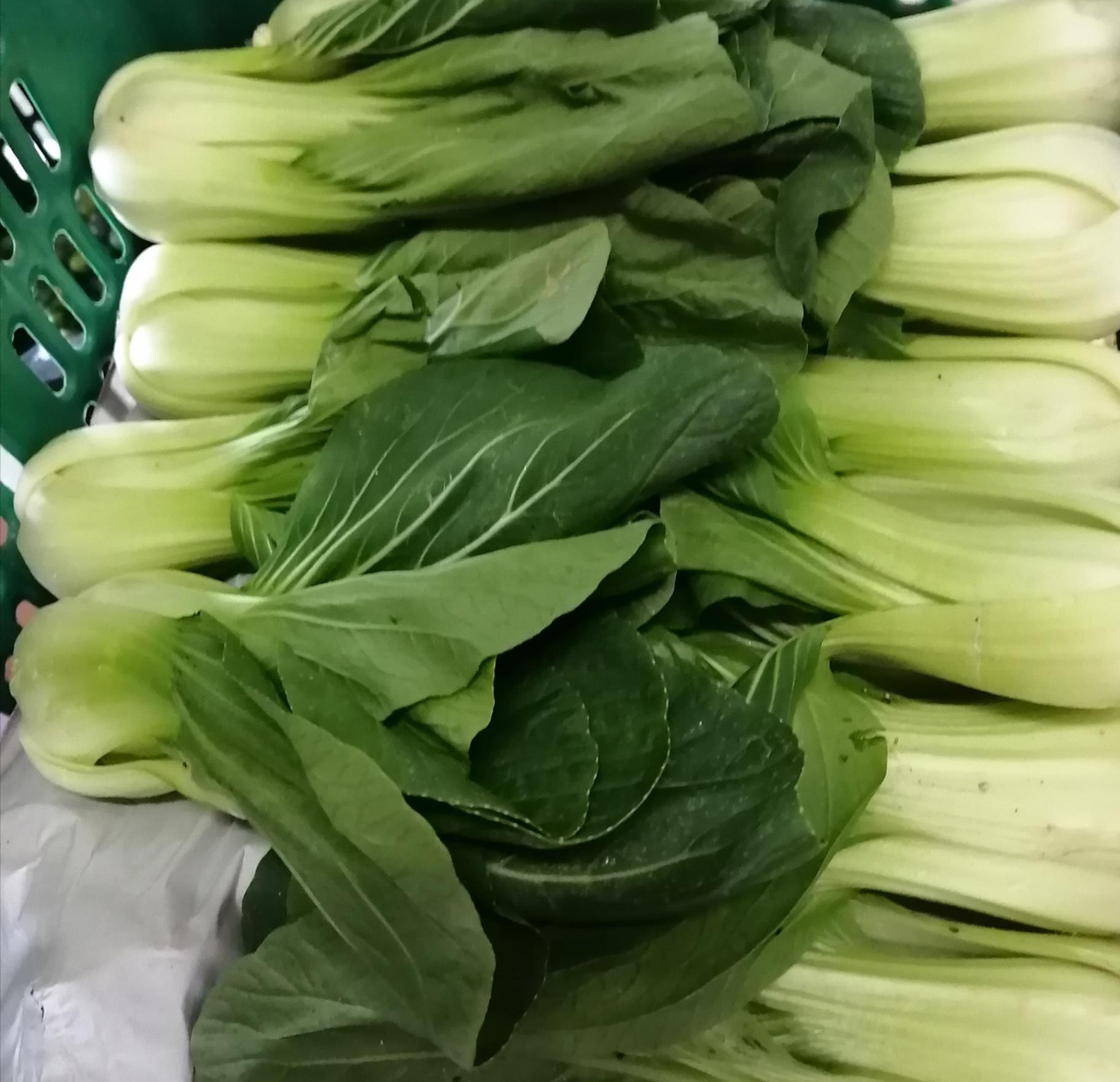 金馬倫小白菜 SMALL PAK CHOY