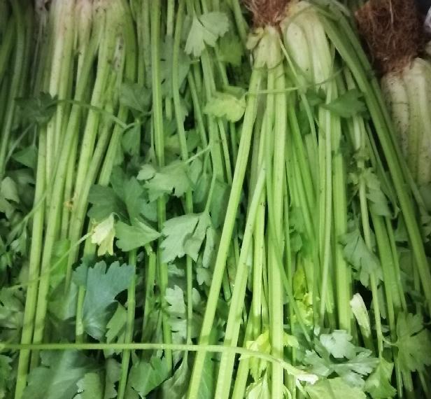 芹菜 CELERY LESVES