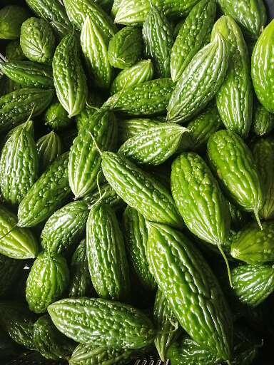 苦瓜子 peria katak