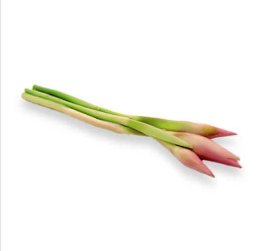 姜花 Ginger Flower