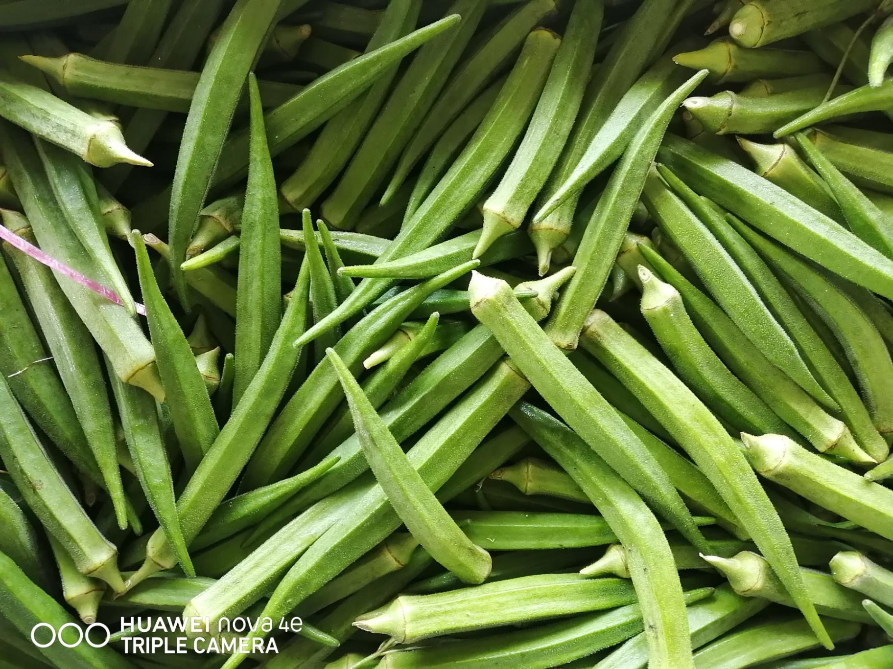 角豆 LADY FINGER