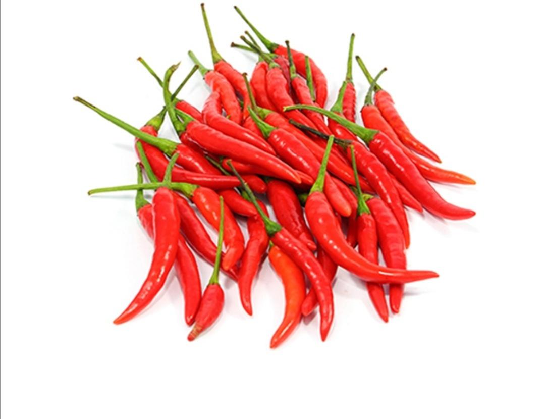 cili padi merah