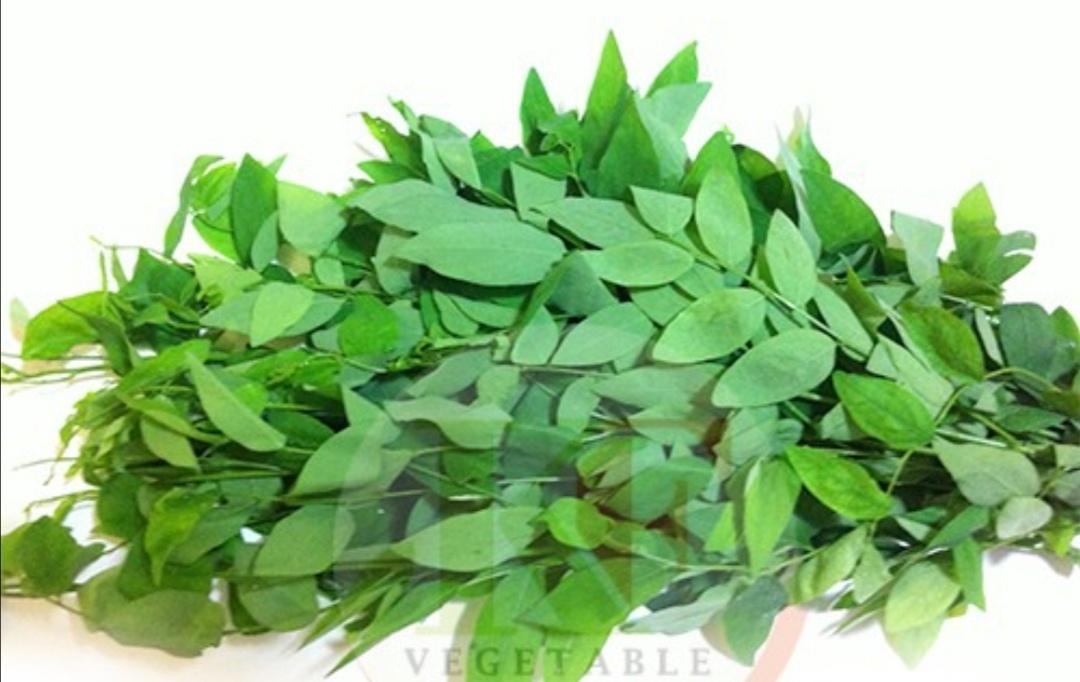 馬尼菜 5kg SWEET LEAF