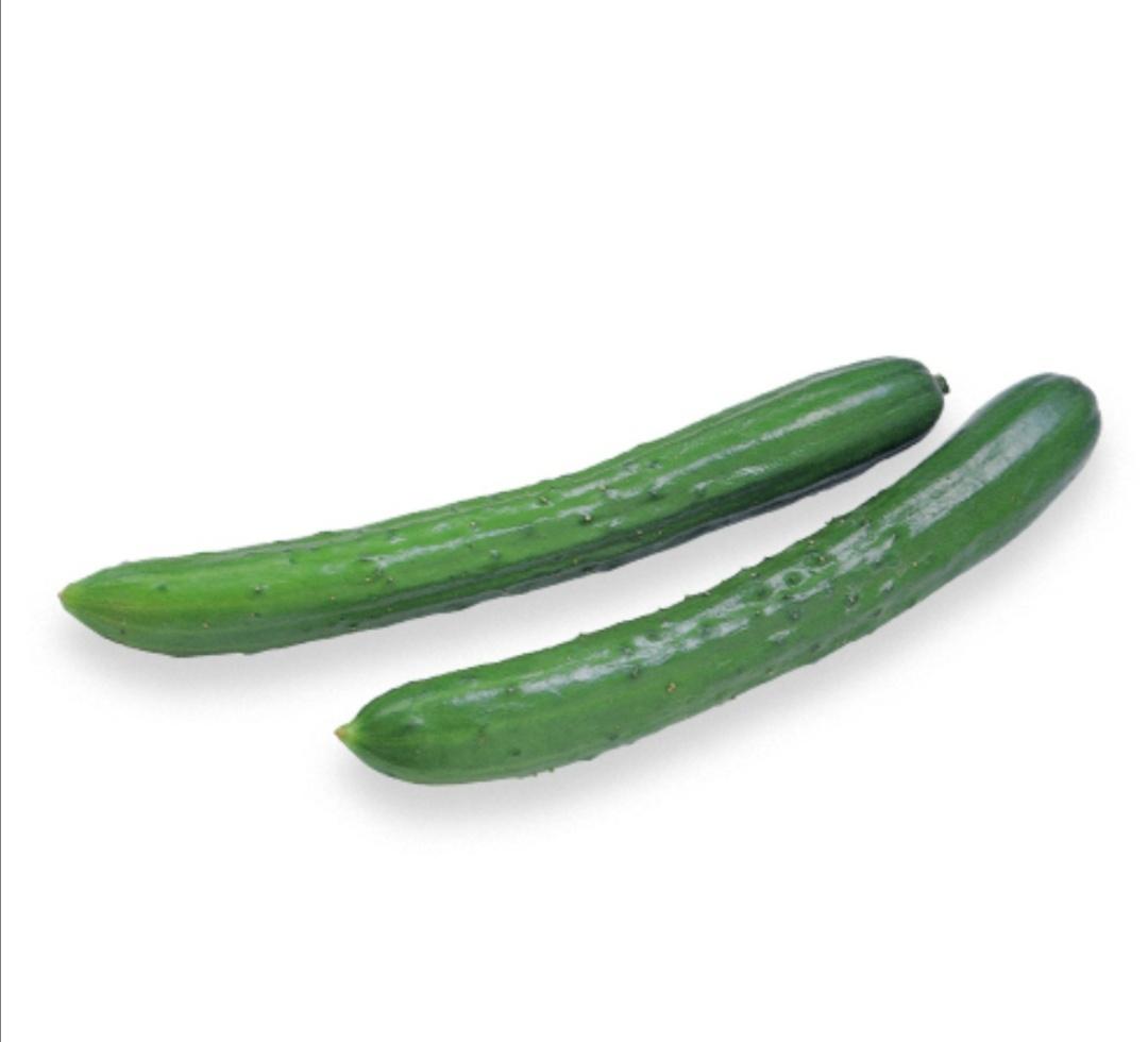 日本黃瓜 JAPANESE CUCUMBER