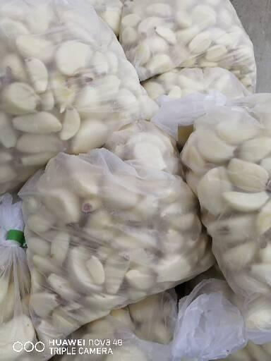 蒜肉 garlic peeled