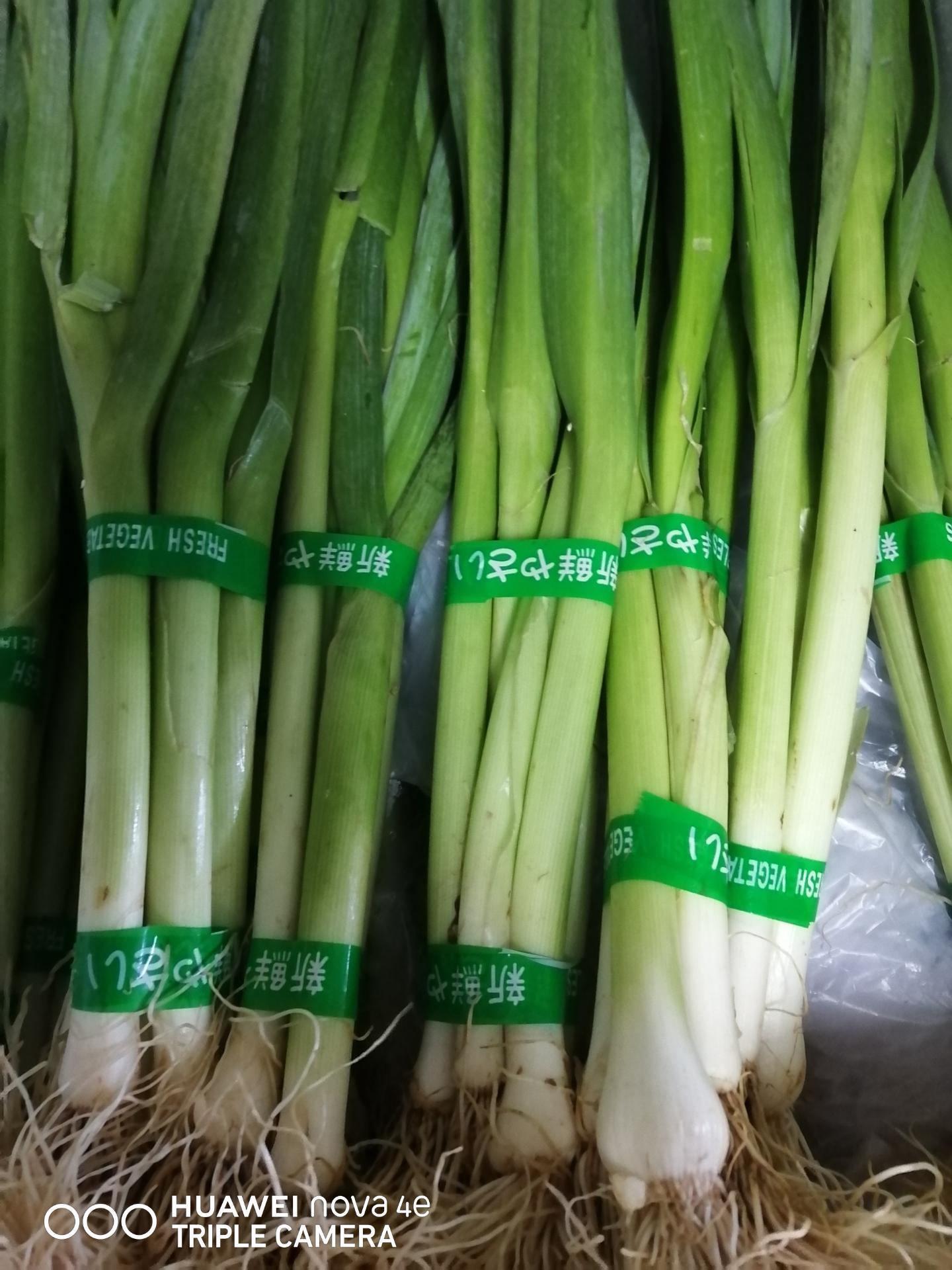 青蒜 leek