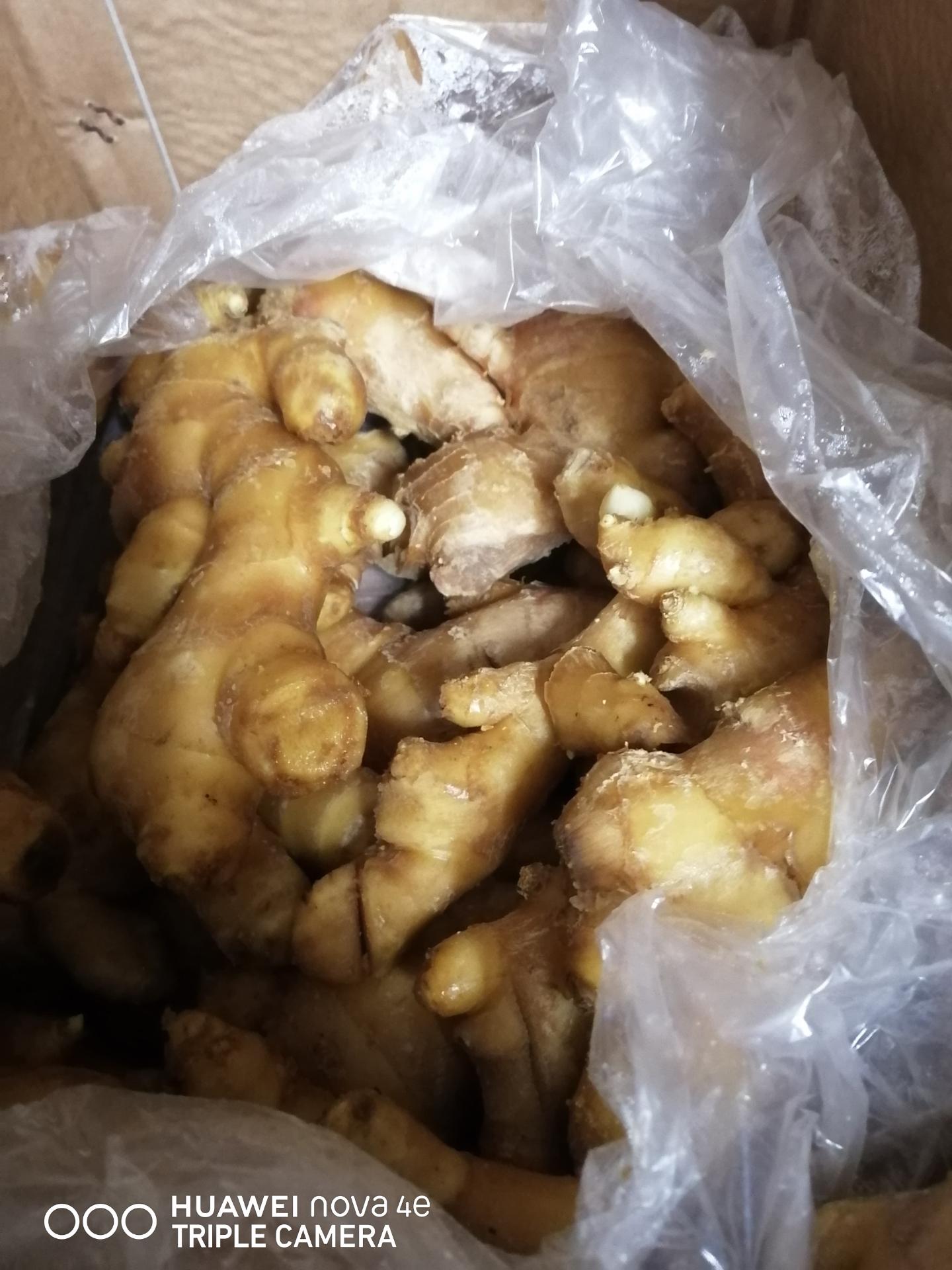 中国老薑  Old Ginger
