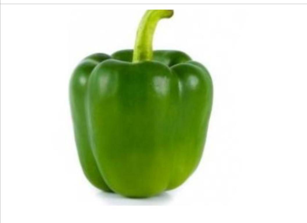 青燈籠椒 GREEN CAPSICUM