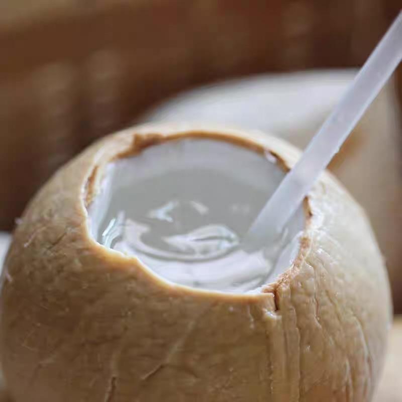 B008 Thai Coconut Water น้ำมะพร้าว
