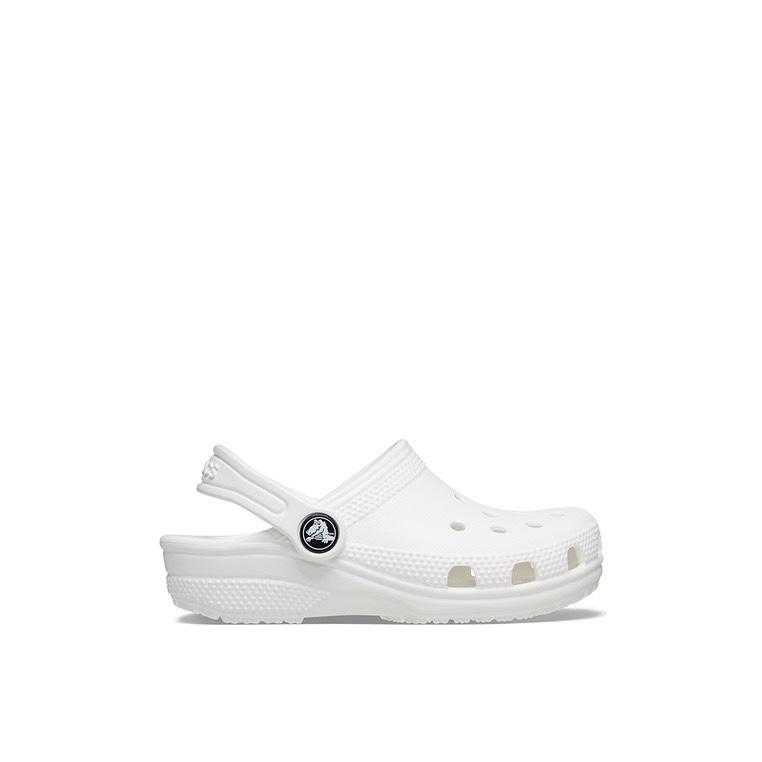Crocs 明星款 - CLASSIC CLOGS