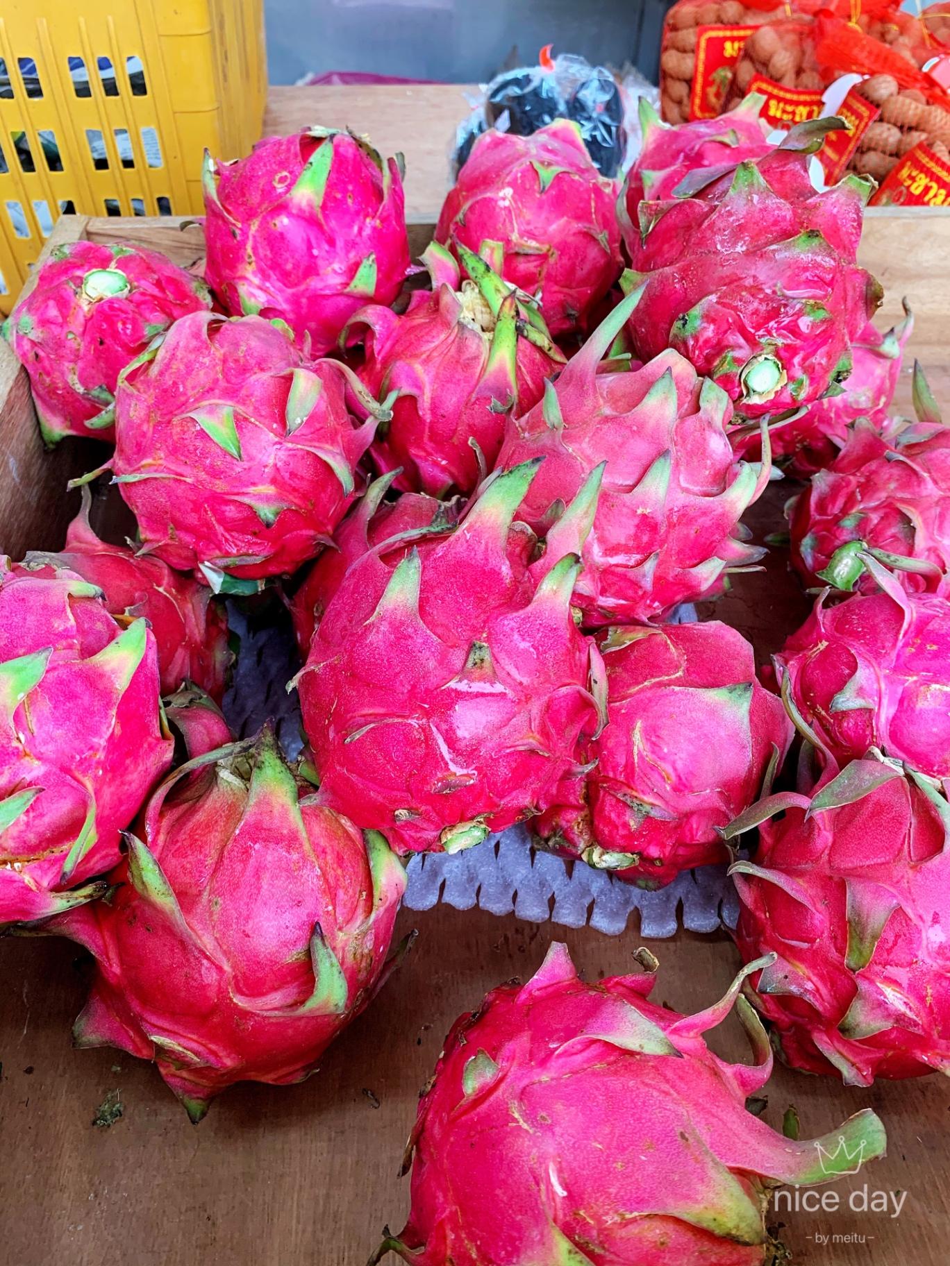 Red Dragon Fruits 红心火龙果AA 600-700G