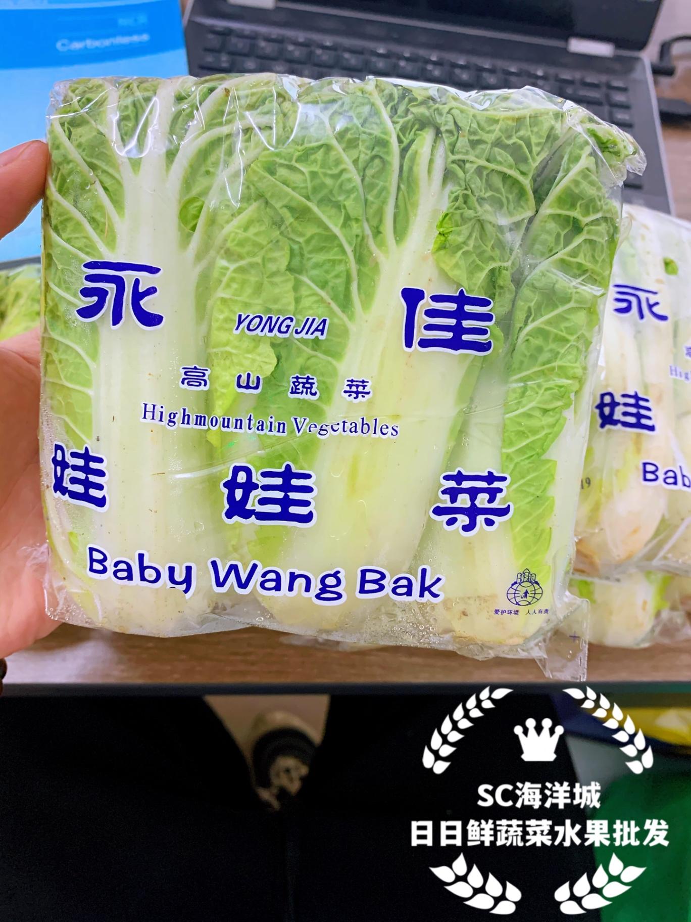 wawa sayur高山海拔娃娃菜🥬🥬