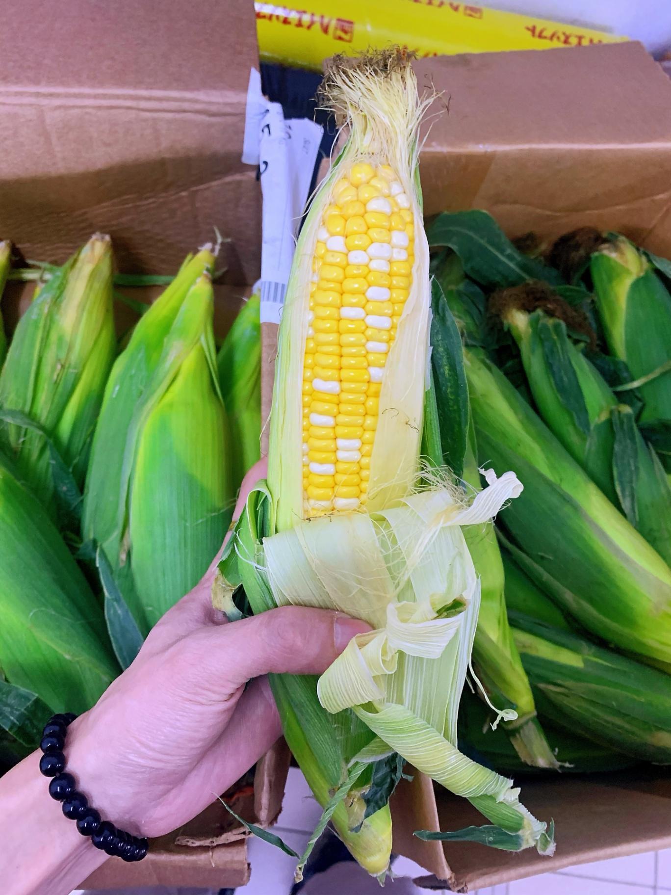黄白玉米 yellow white corn 2 in 1