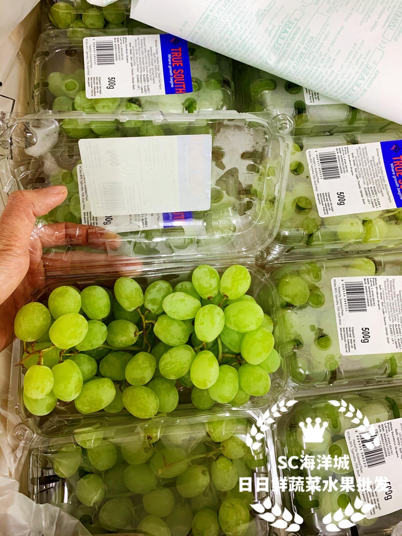 Green Grapes无籽青葡萄