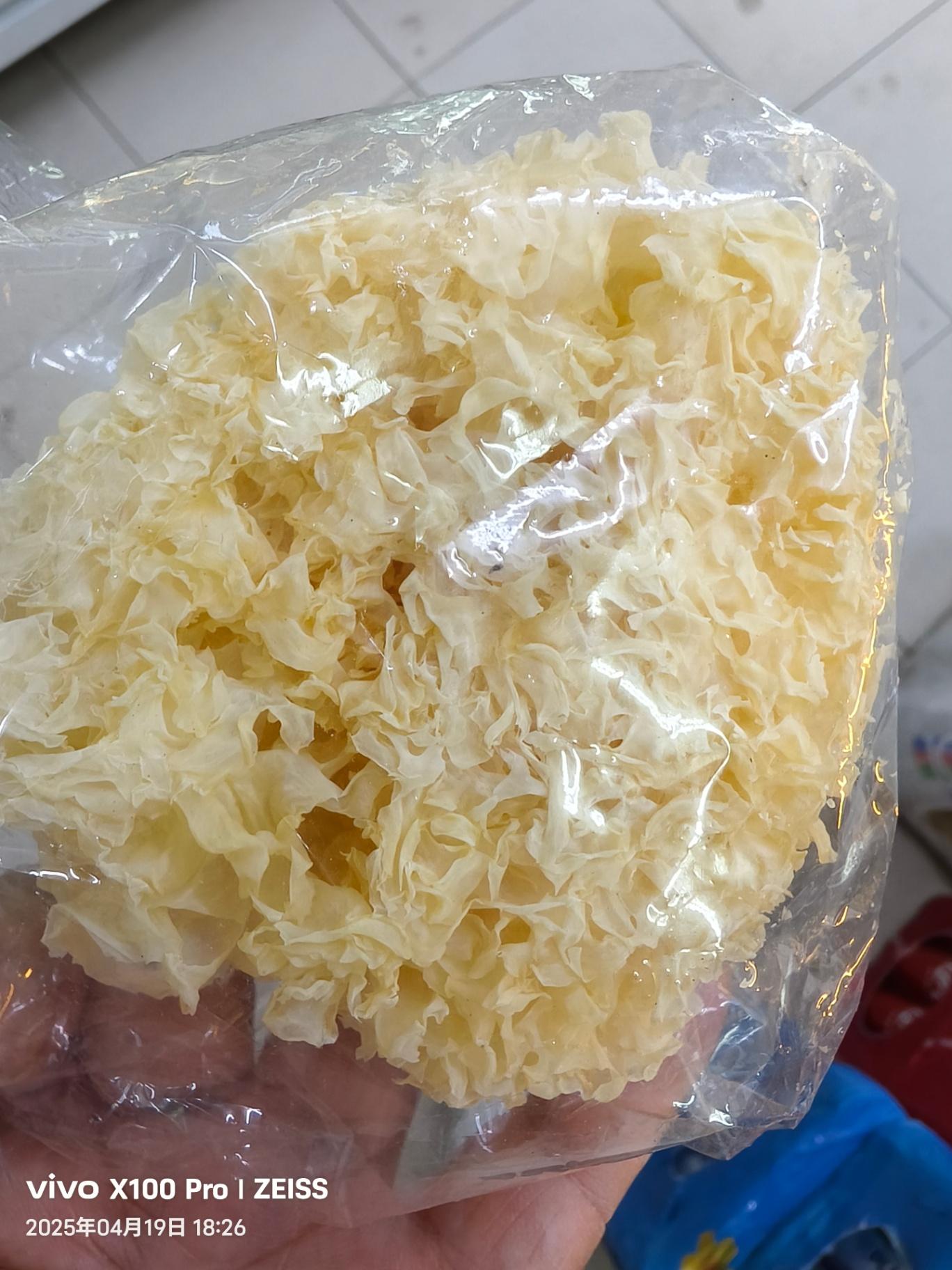 White fungus 银耳