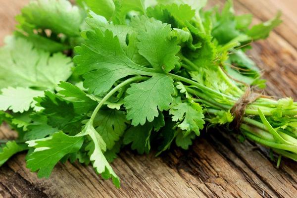 Coriander / 香菜 100g +/-