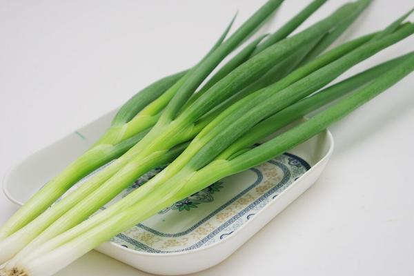SPRING ONION / DAUN BAWANG / 青葱 100g
