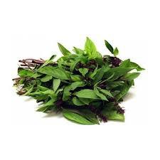 Thai Basil Leaf 九层塔 (50g)