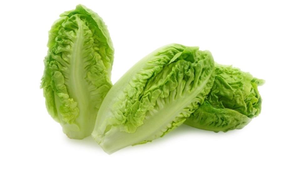 ORGANIC Romaine Lettuce / 油麦 400g +/- 1-2粒piece