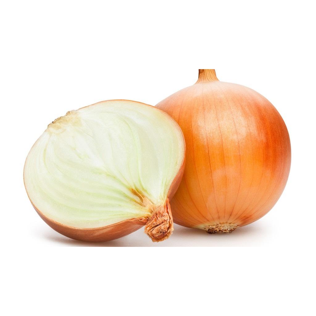 Holland Onion / Bawang Putih / 黄洋葱 (500g+-) 2粒