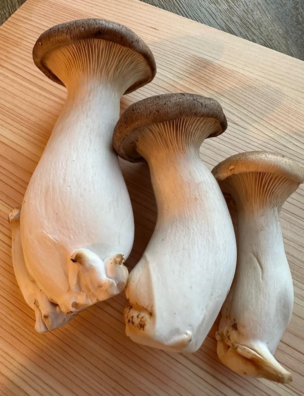King Oyster Mushroom / 杏鲍菇 (250g/pack）