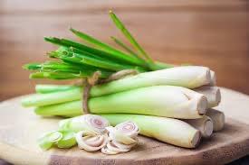 Lemongrass / Serai / 香茅 (500g+-）