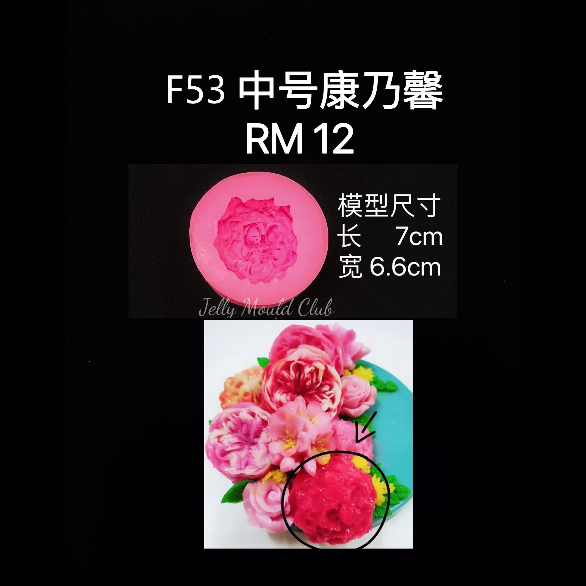 F53 中号康乃馨 6 pcs@10/pc 母亲节mother carnation