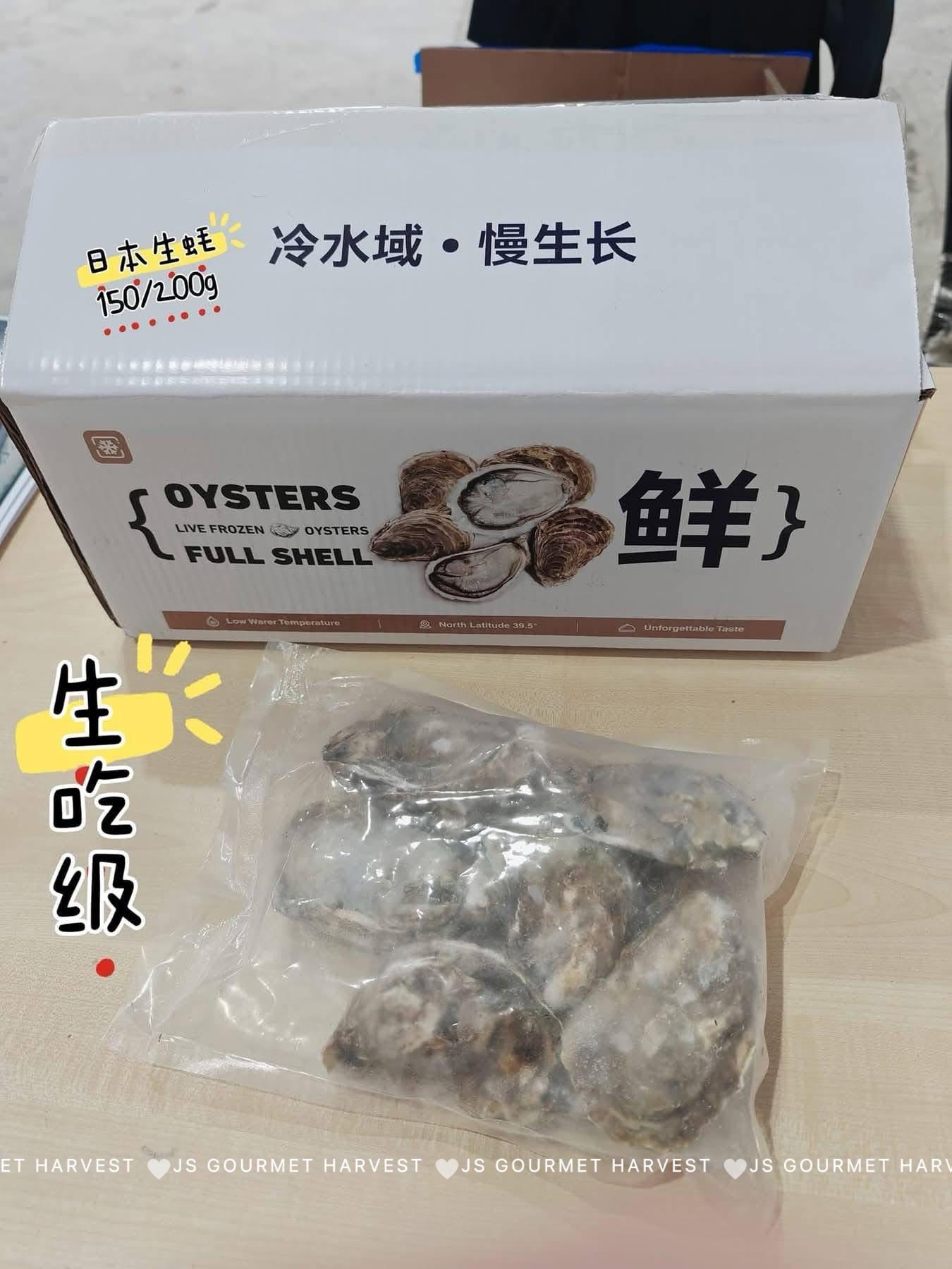日本顶级全壳生蚝（10粒）