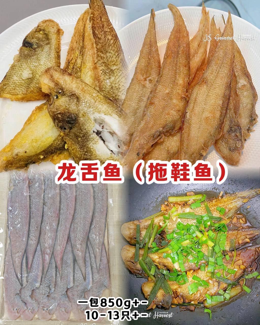龙舌鱼