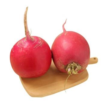 大红萝卜 Red Radish - kg