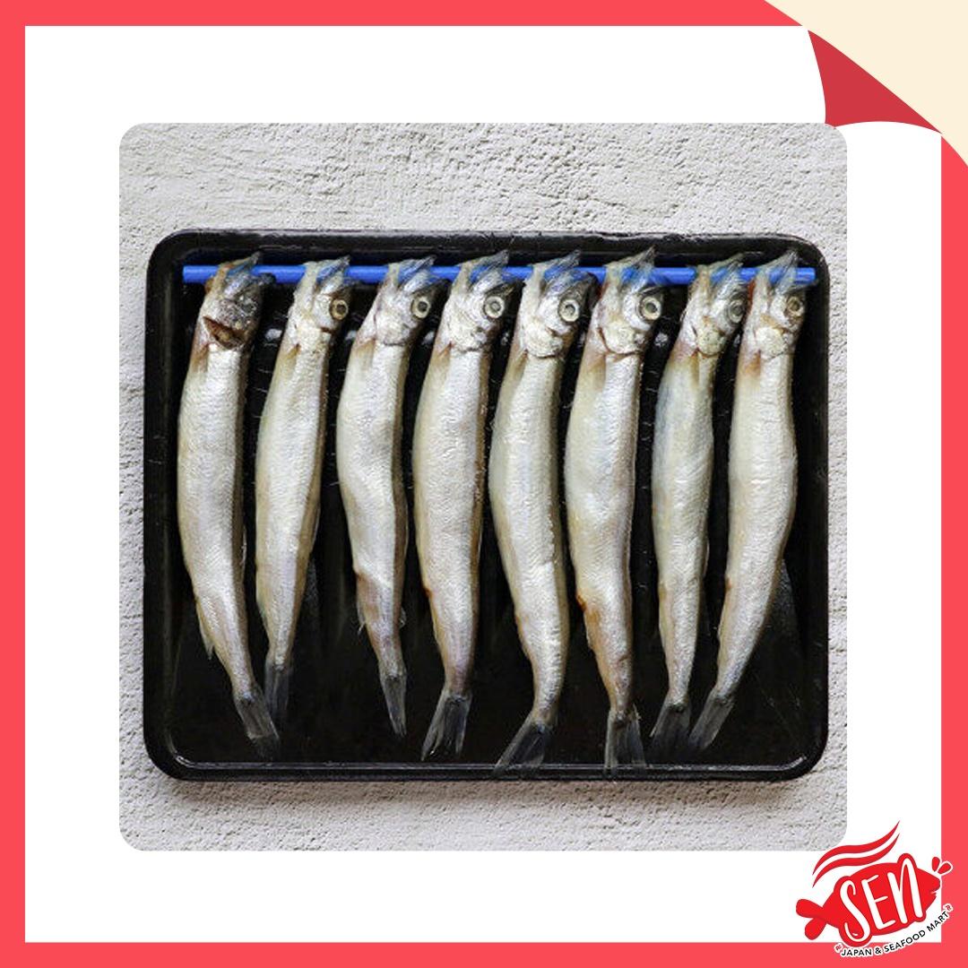 SHISHAMO (8PC)