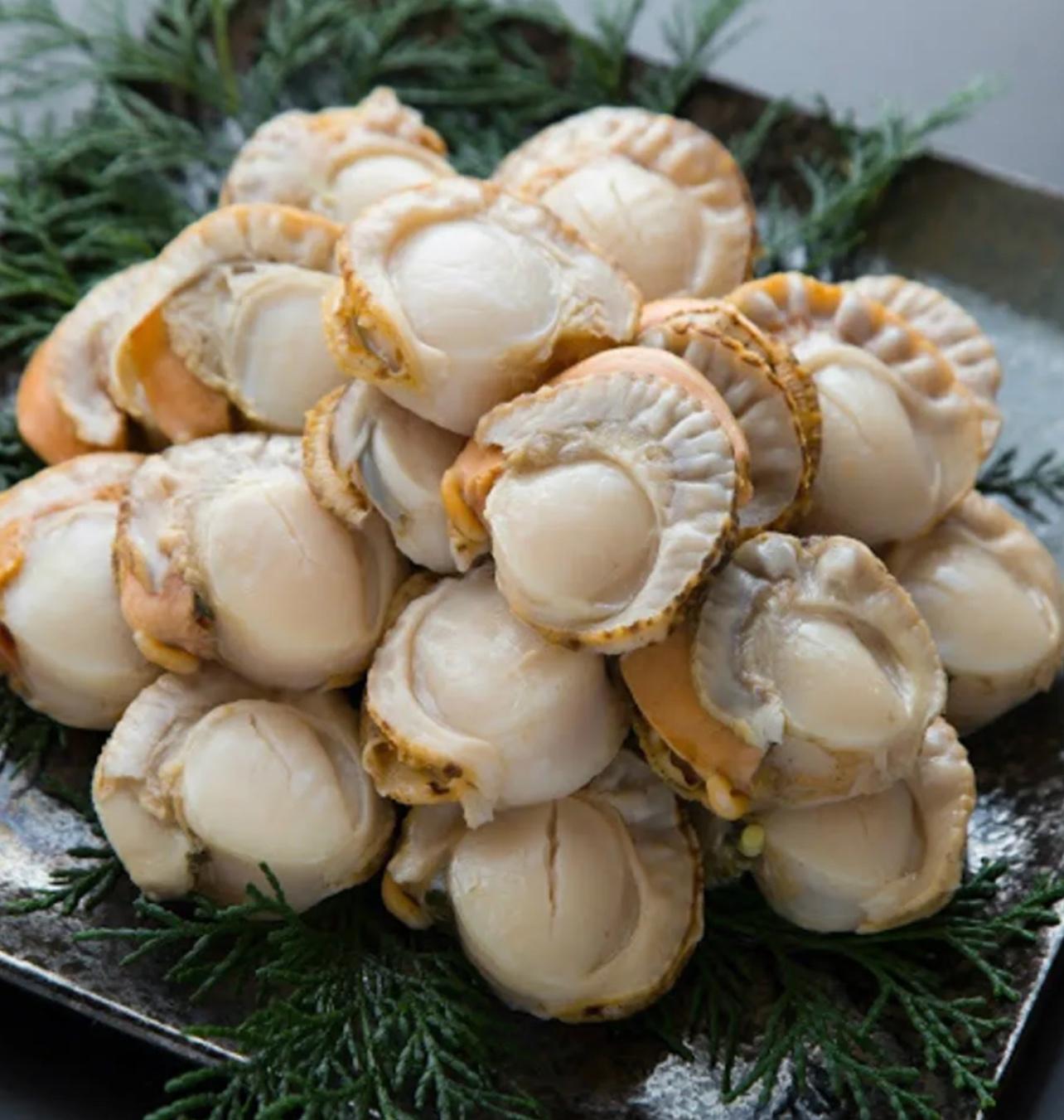 C08 - 熟带子 Hotate Scallop