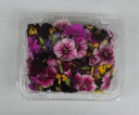 Edible Flower - Malaysia Cameron * Pkt/35Gm+-