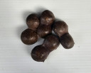 Buah Jering Tua - Indonesia * Kg