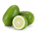 Fragrant Lemon - Malaysia * Kg