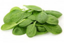 Baby Spinach - Malaysia Cameron * Pkt/200Gm+-