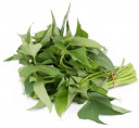 Daun Ubi - Malaysia Cameron * Kg