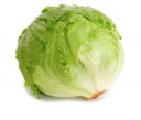 Iceberg Lettuce - Malaysia Cameron * Kg