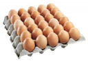 Ordinary Eggs (C) - Malaysia * Tray/30Pc