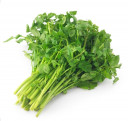 Watercress - Malaysia Cameron * Kg