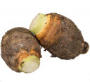 White Yam - Thailand * Kg