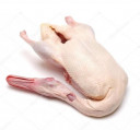 Whole Duck Frozen - Malaysia * Pc